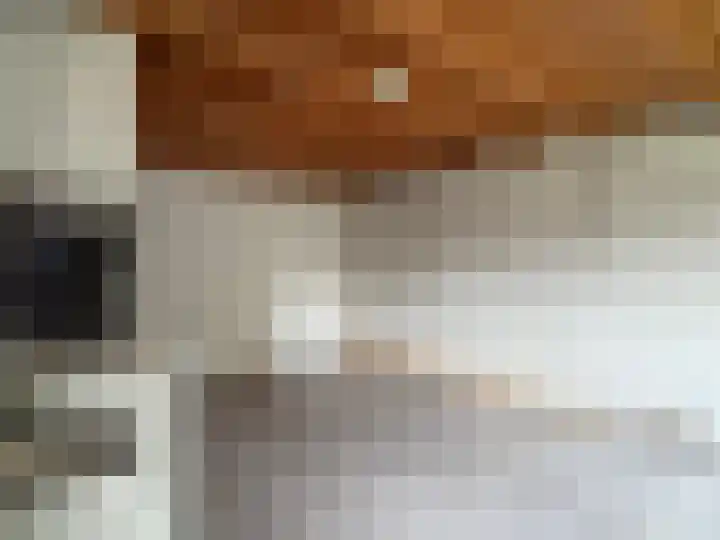 Woldzoom 37 Roden thumbnail 21