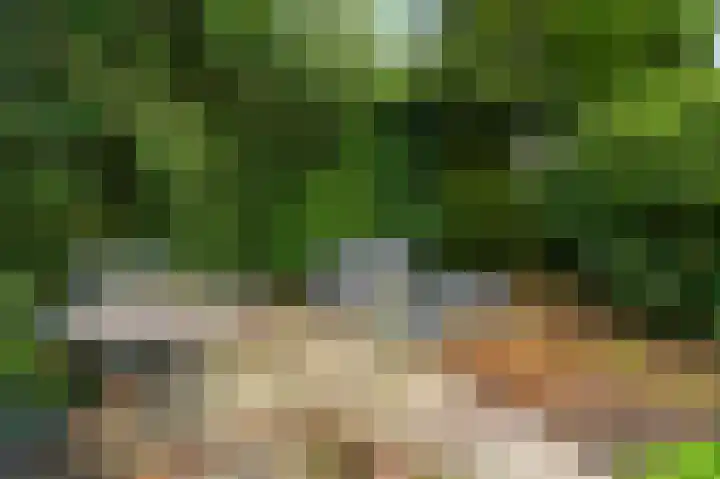 Woldzoom 37 Roden thumbnail 22