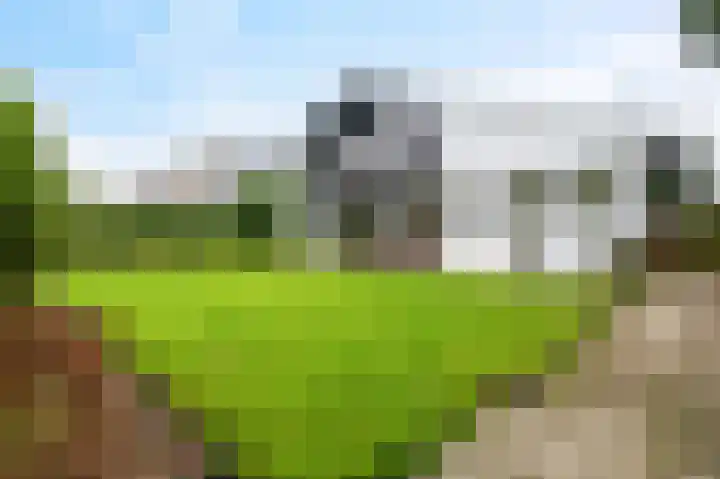 Woldzoom 37 Roden thumbnail 23