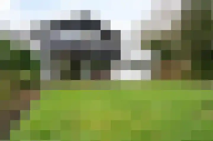 Woldzoom 37 Roden thumbnail 25