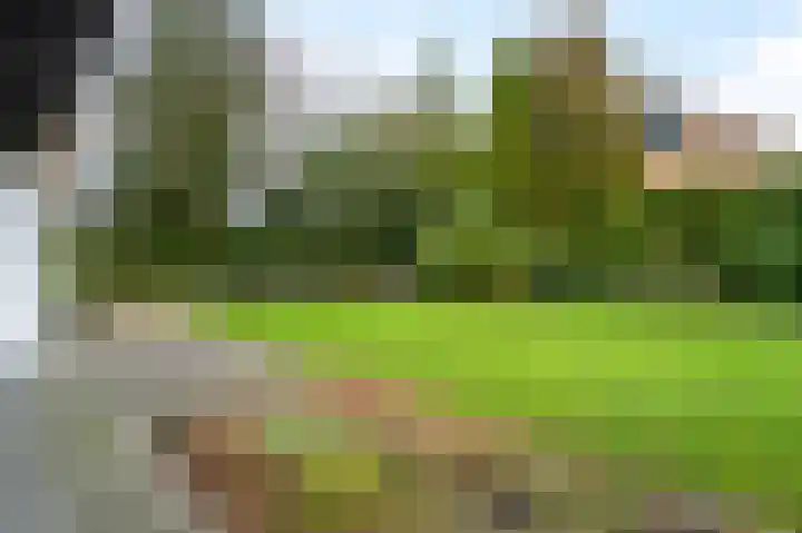 Woldzoom 37 Roden thumbnail 26