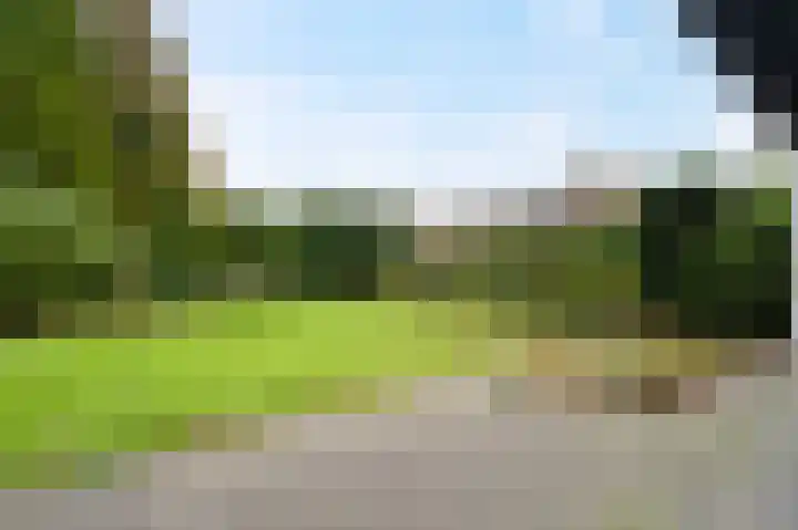 Woldzoom 37 Roden thumbnail 27