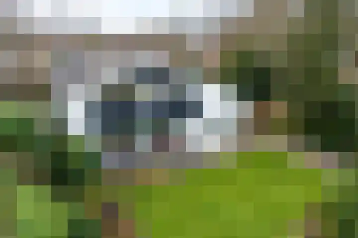 Woldzoom 37 Roden foto 3