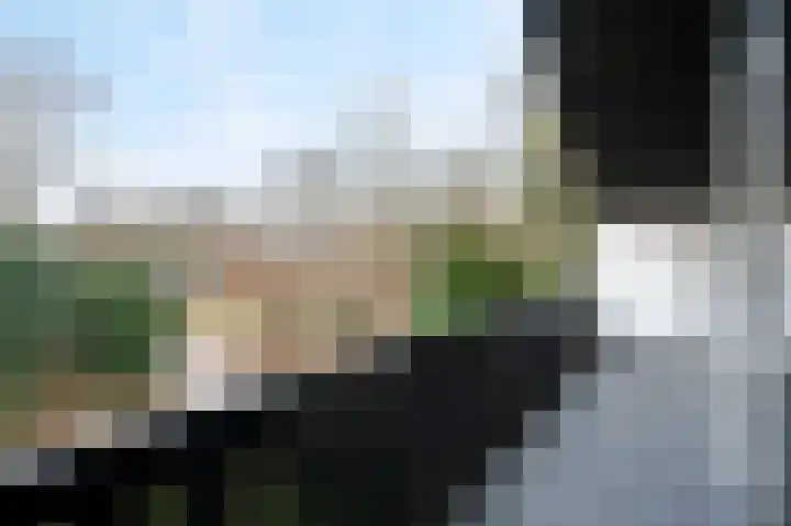 Woldzoom 37 Roden thumbnail 33
