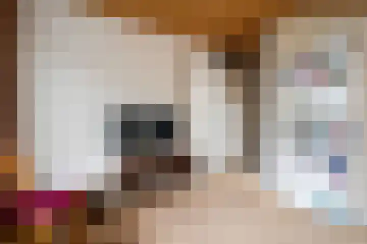 Woldzoom 37 Roden thumbnail 34