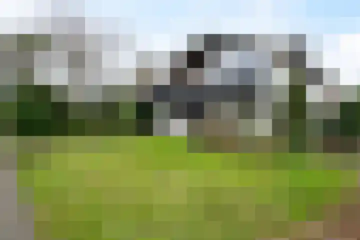 Woldzoom 37 Roden thumbnail 4