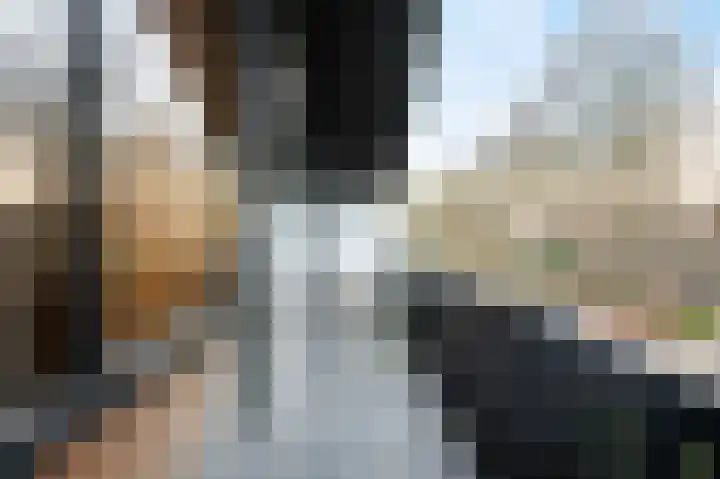 Woldzoom 37 Roden thumbnail 41