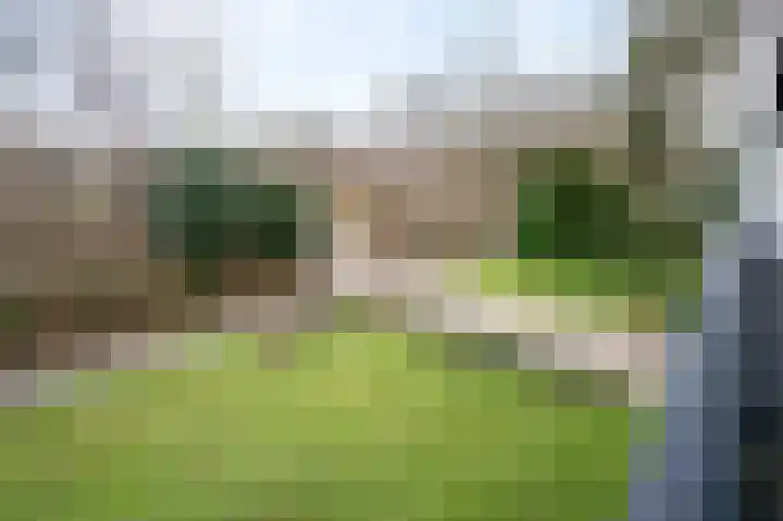 Woldzoom 37 Roden thumbnail 42