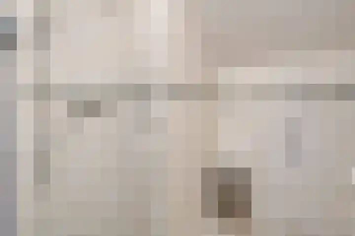 Woldzoom 37 Roden thumbnail 44