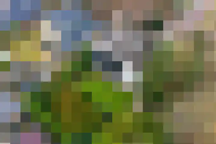 Woldzoom 37 Roden thumbnail 46