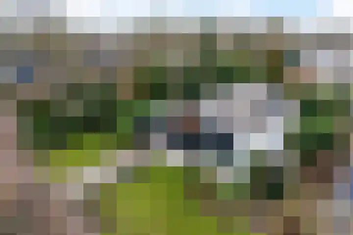 Woldzoom 37 Roden thumbnail 47