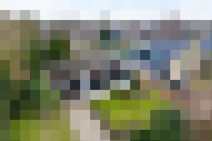 Woldzoom 37 Roden thumbnail 48
