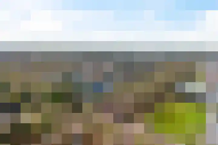 Woldzoom 37 Roden thumbnail 49