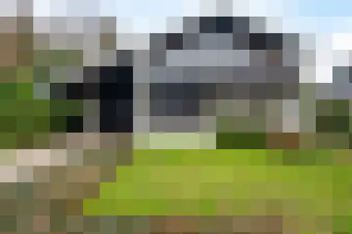 Woldzoom 37 Roden thumbnail 5