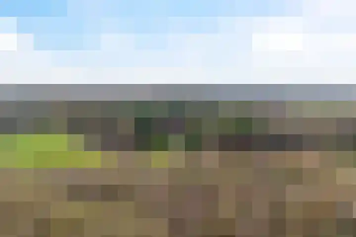Woldzoom 37 Roden thumbnail 50