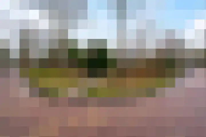 Woldzoom 37 Roden thumbnail 51