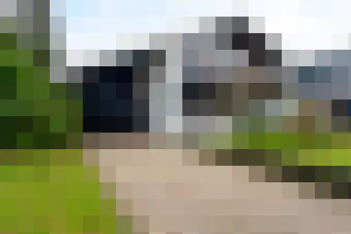 Woldzoom 37 Roden thumbnail 6
