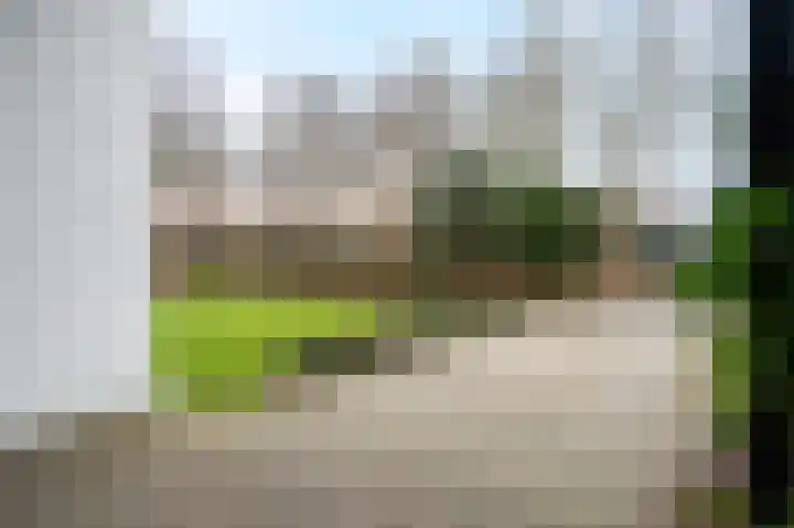 Woldzoom 37 Roden thumbnail 7