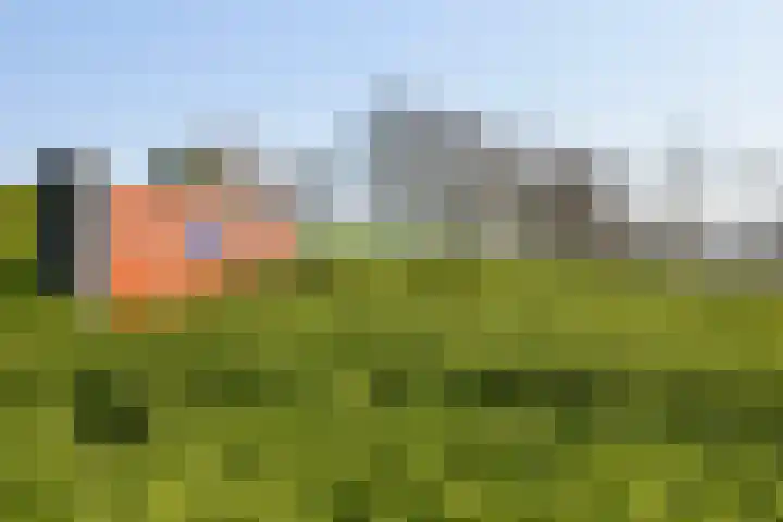 Wolfend 135 Bergschenhoek thumbnail 10