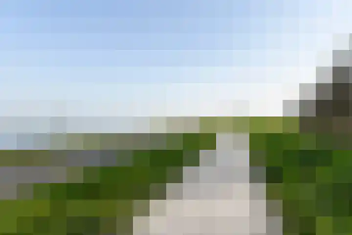 Wolfend 135 Bergschenhoek thumbnail 7