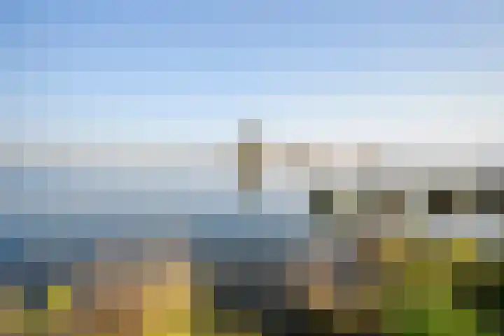 Wolfend 135 Bergschenhoek thumbnail 8