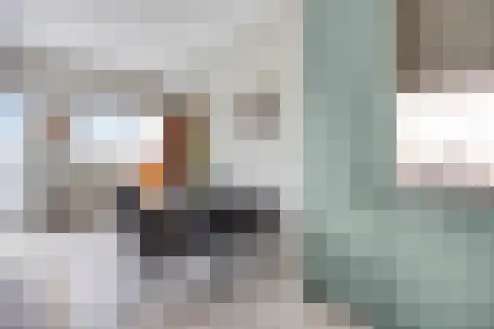 Wolfend 139 Bergschenhoek thumbnail 11