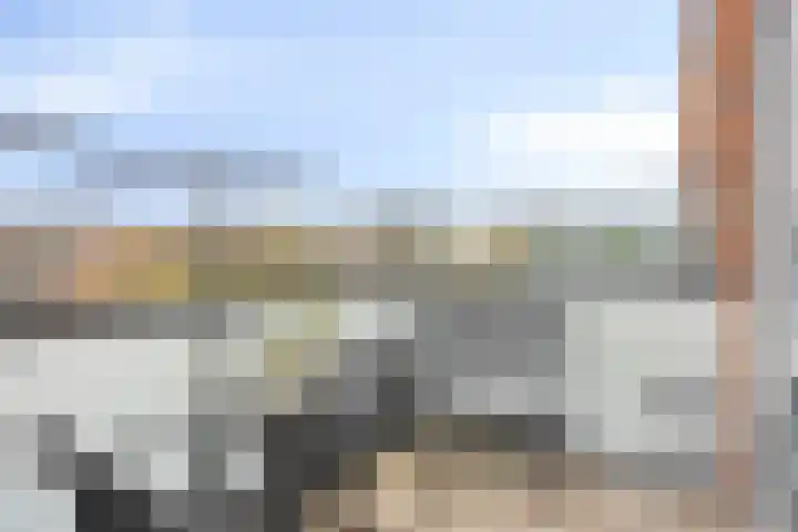 Wolfend 139 Bergschenhoek thumbnail 19