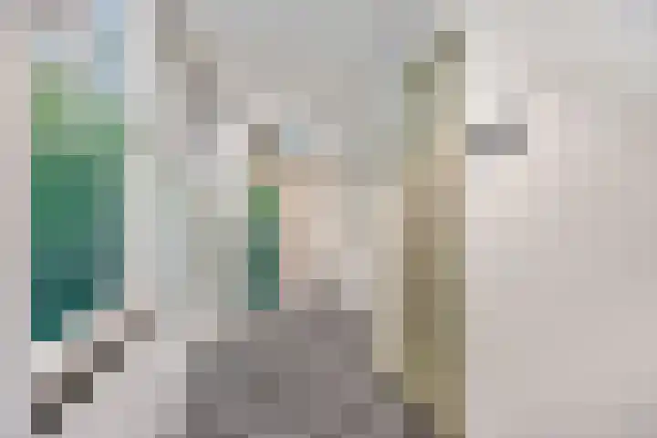 Wolfend 139 Bergschenhoek thumbnail 21