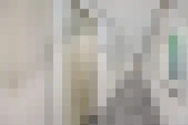 Wolfend 139 Bergschenhoek thumbnail 22