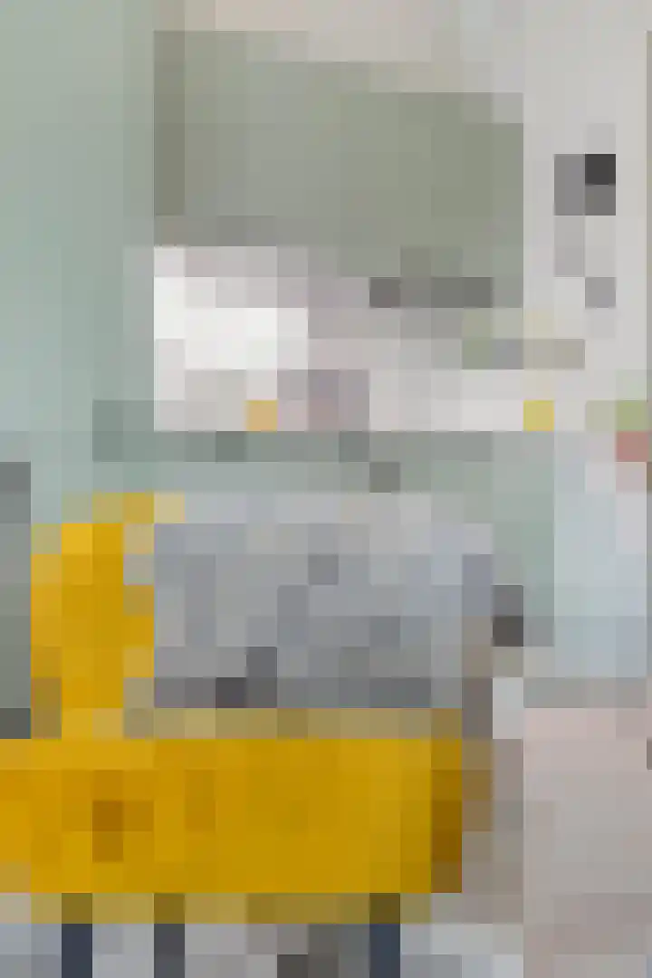 Wolfend 139 Bergschenhoek thumbnail 4