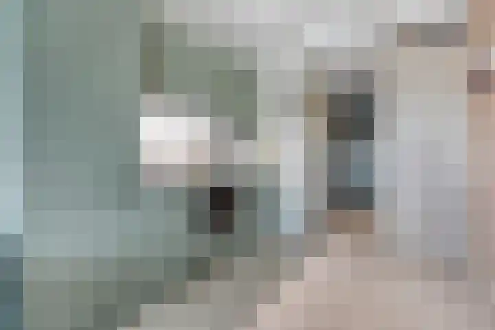 Wolfend 139 Bergschenhoek thumbnail 9