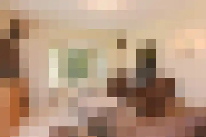 Wolfend 17 Bergschenhoek thumbnail 17
