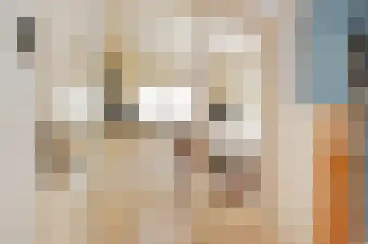 Wolfend 17 Bergschenhoek thumbnail 20