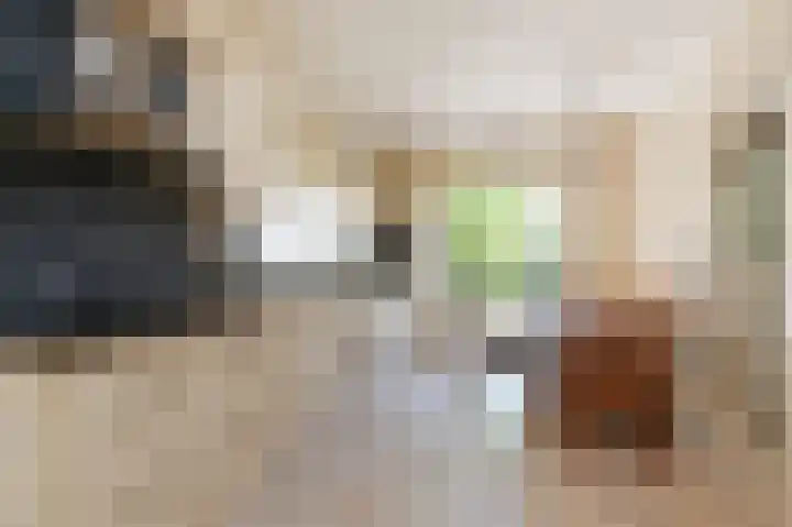 Wolfend 17 Bergschenhoek thumbnail 21