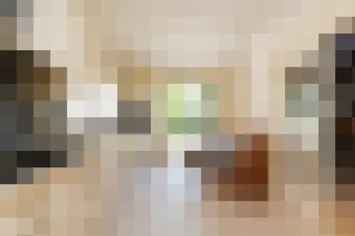 Wolfend 17 Bergschenhoek thumbnail 22