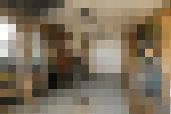Wolfend 17 Bergschenhoek thumbnail 31
