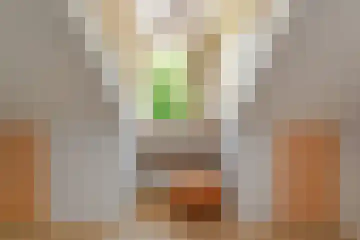 Wolfend 17 Bergschenhoek thumbnail 35
