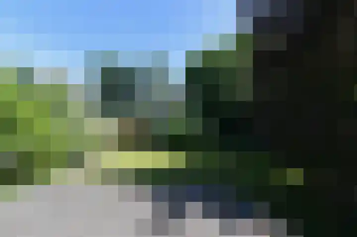 Wolfend 17 Bergschenhoek thumbnail 40