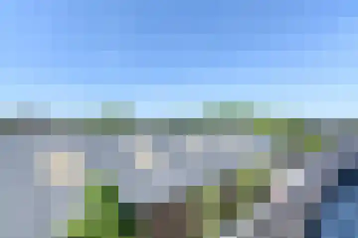 Wolfend 17 Bergschenhoek thumbnail 41