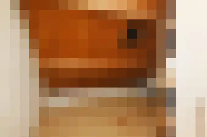 Wolfend 17 Bergschenhoek thumbnail 43