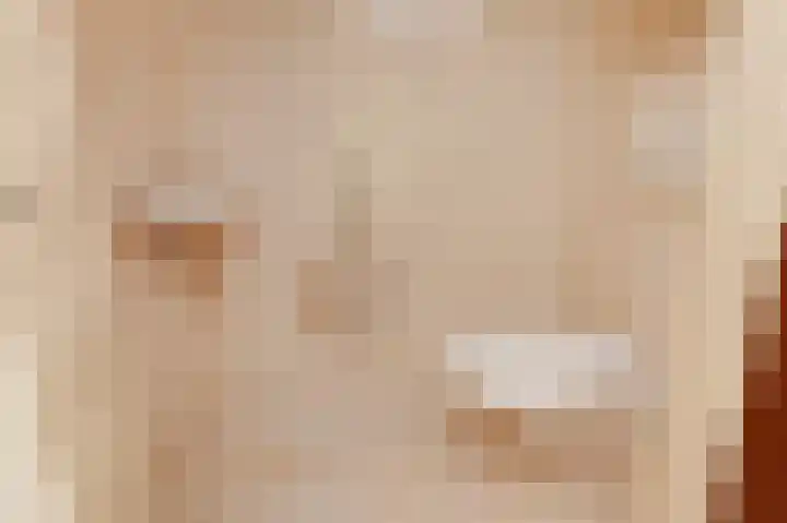 Wolfend 17 Bergschenhoek thumbnail 44