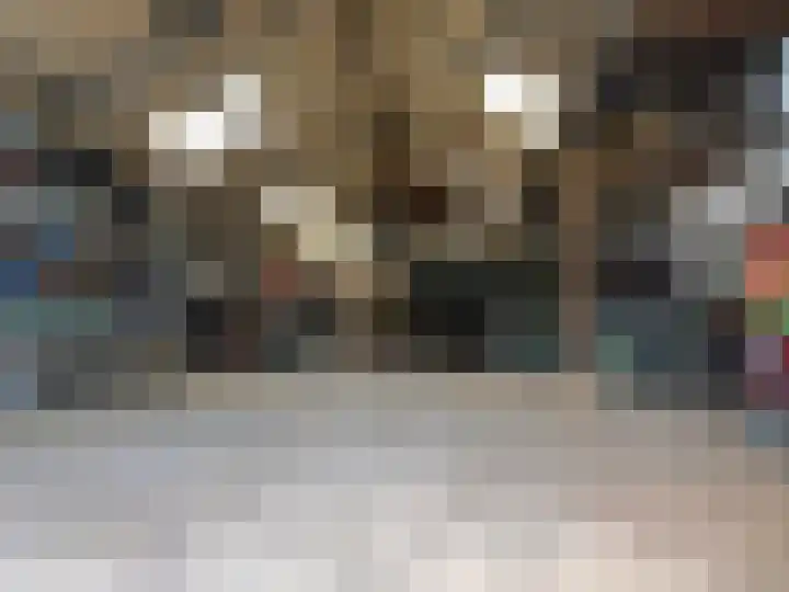 Wolfend 17 Bergschenhoek thumbnail 49