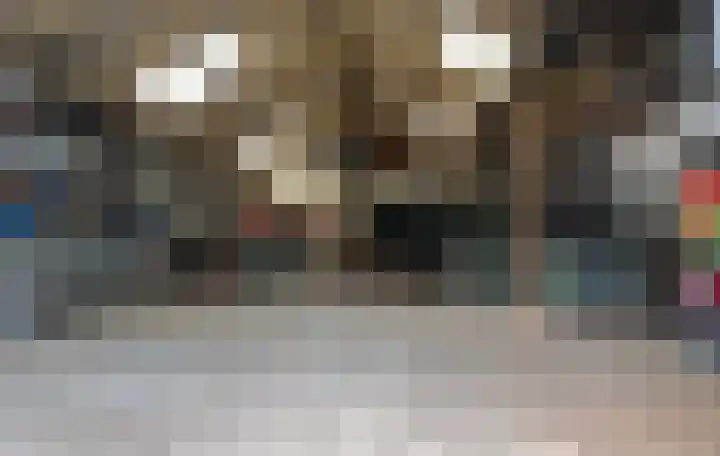 Wolfend 17 Bergschenhoek thumbnail 5