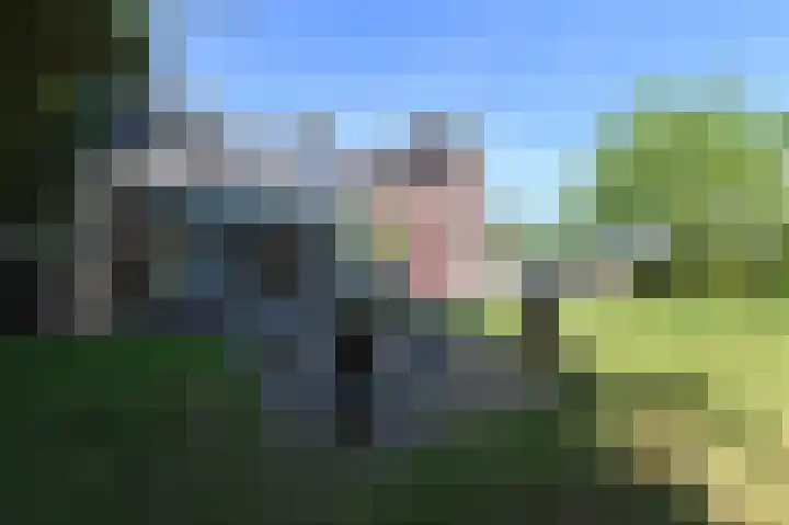 Wolfend 17 Bergschenhoek thumbnail 54