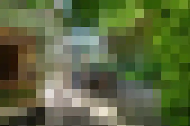 Wolfend 17 Bergschenhoek thumbnail 57