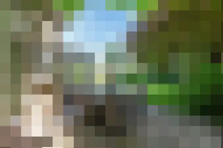 Wolfend 17 Bergschenhoek thumbnail 59