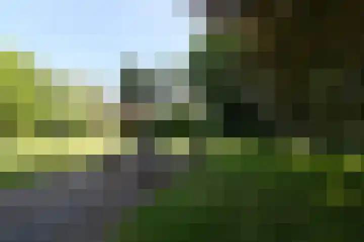 Wolfend 17 Bergschenhoek thumbnail 60