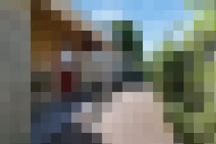 Wolfend 17 Bergschenhoek thumbnail 61