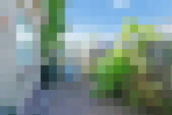 Wolfend 17 Bergschenhoek thumbnail 62