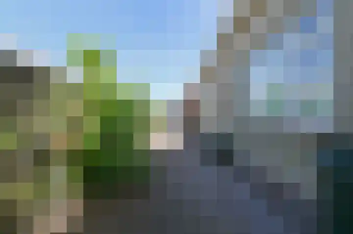 Wolfend 17 Bergschenhoek thumbnail 63